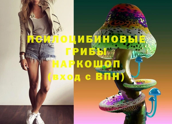 шишки Бородино